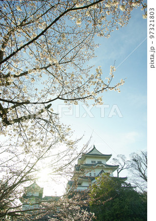 桜咲く春の伊賀上野城 97321803