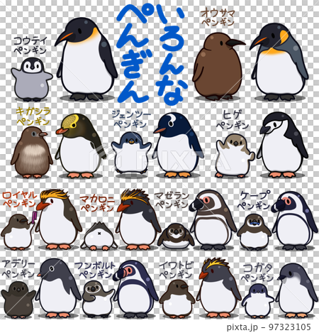 ペンギンの親子のデフォルメイラスト【13種類】 97323105