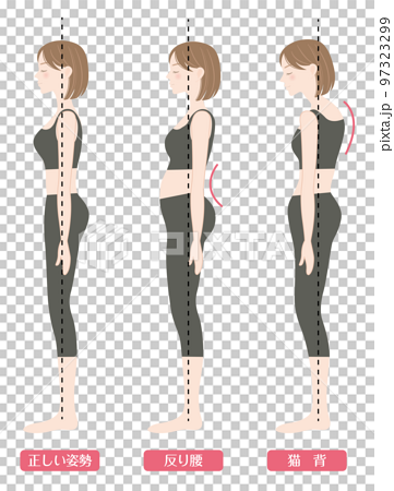 Stooped woman before and after correcting posture Vector Image