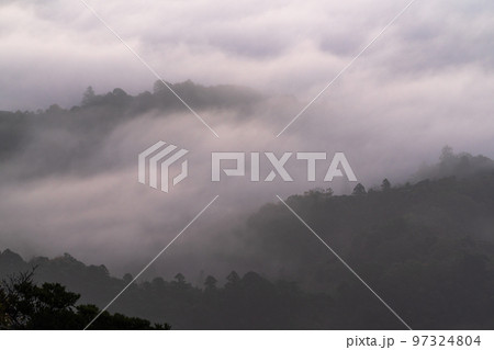 《千葉県》大雲海・九十九谷展望公園 《千葉県》大雲海・九十九谷展望公園 97324804