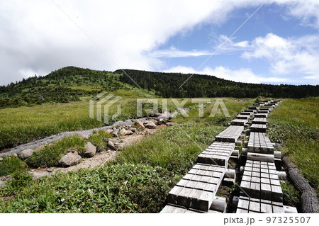 長野県秋山郷栄村の小赤沢登山口から登る苗場山 坪場の湿原から山頂方面 2022年8月29日 長野県秋山郷栄村の小赤沢登山口から登る苗場山 坪場の湿原から山頂方面 2022年8月29日 97325507