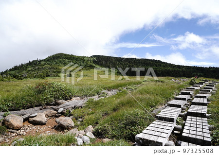 長野県秋山郷栄村の小赤沢登山口から登る苗場山 坪場の湿原から山頂方面 2022年8月29日 長野県秋山郷栄村の小赤沢登山口から登る苗場山 坪場の湿原から山頂方面 2022年8月29日 97325508