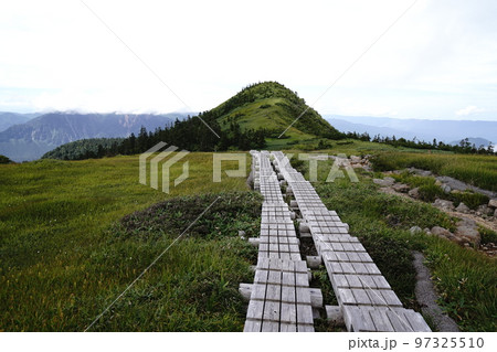 小赤沢登山口から登る苗場山 坪場の湿原を山頂方面に進み振り返る 2022年8月29日 小赤沢登山口から登る苗場山 坪場の湿原を山頂方面に進み振り返る 2022年8月29日 97325510