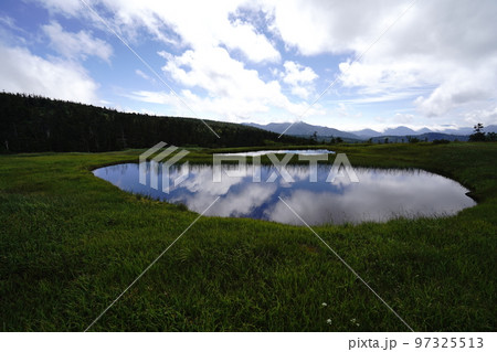 小赤沢登山口から登る苗場山 坪場の湿原から山頂方面に進む途中の湿原 2022年8月29日 小赤沢登山口から登る苗場山 坪場の湿原から山頂方面に進む途中の湿原 2022年8月29日 97325513