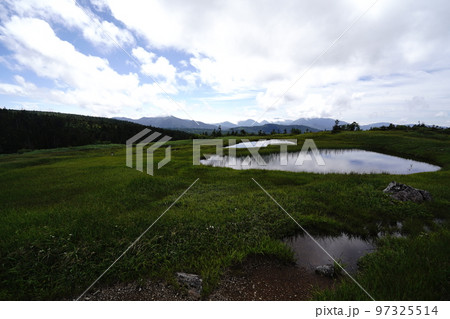 小赤沢登山口から登る苗場山 坪場の湿原から山頂方面に進む途中の湿原 2022年8月29日 小赤沢登山口から登る苗場山 坪場の湿原から山頂方面に進む途中の湿原 2022年8月29日 97325514