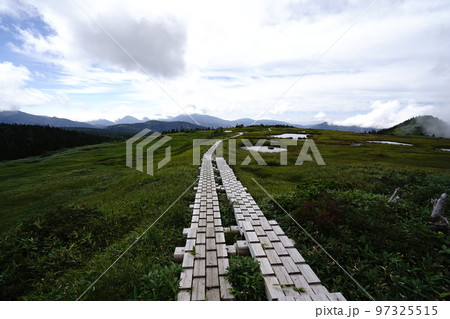 小赤沢登山口から登る苗場山 坪場の湿原から山頂方面に進み振り返る 2022年8月29日 小赤沢登山口から登る苗場山 坪場の湿原から山頂方面に進み振り返る 2022年8月29日 97325515
