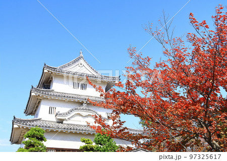 【香川県】真っ赤に紅葉した秋の丸亀城（現存天守と石垣の名城） 97325617