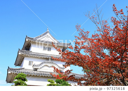 【香川県】真っ赤に紅葉した秋の丸亀城（現存天守と石垣の名城） 97325618
