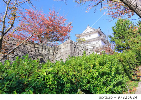 【香川県】真っ赤に紅葉した秋の丸亀城（現存天守と石垣の名城） 97325624