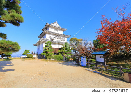 【香川県】真っ赤に紅葉した秋の丸亀城（現存天守と石垣の名城） 97325637