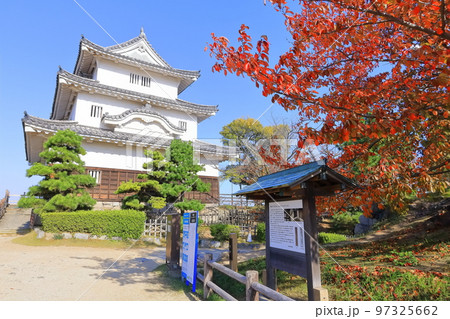 【香川県】真っ赤に紅葉した秋の丸亀城（現存天守と石垣の名城） 97325662