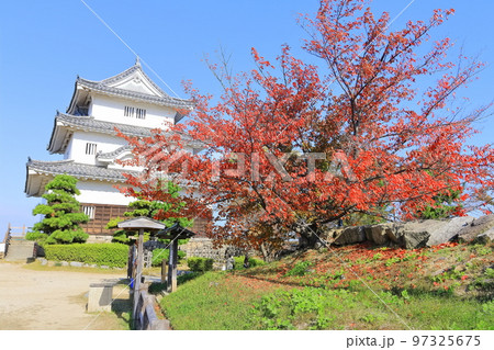 【香川県】真っ赤に紅葉した秋の丸亀城（現存天守と石垣の名城） 97325675