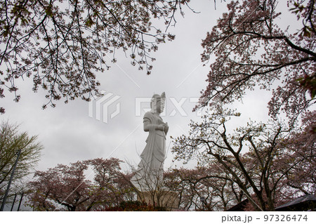 船岡平和観音と桜・船岡城址公園(宮城県) 船岡平和観音と桜・船岡城址公園(宮城県) 97326474