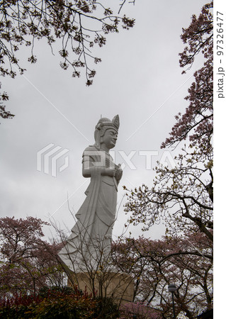 船岡平和観音と桜・船岡城址公園(宮城県) 船岡平和観音と桜・船岡城址公園(宮城県) 97326477