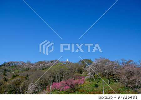 船岡平和観音と桜・船岡城址公園(宮城県) 船岡平和観音と桜・船岡城址公園(宮城県) 97326481