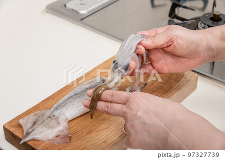 【ミドル主婦がスルメイカをさばく　肝を取り出す】 97327739