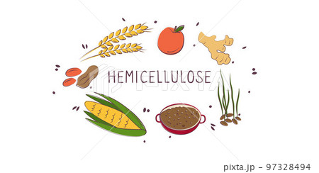 Hemicellulose-containing food. Groups of healthy products containing vitamins and minerals. Set of fruits, vegetables, meats, fish and dairy. 97328494