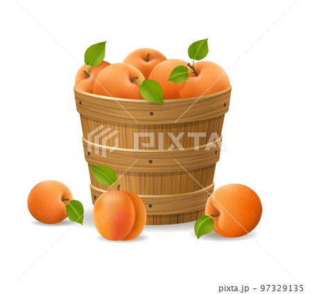 Full apricots basket Full apricots basket 97329135