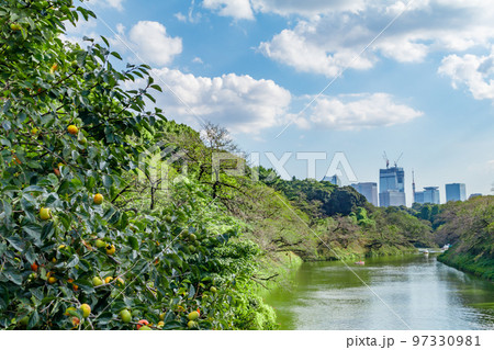 【東京の都市風景】千鳥ヶ淵周辺の都市風景 【東京の都市風景】千鳥ヶ淵周辺の都市風景 97330981