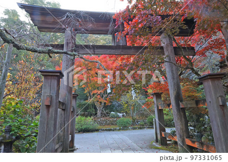 御調八幡宮の紅葉 97331065