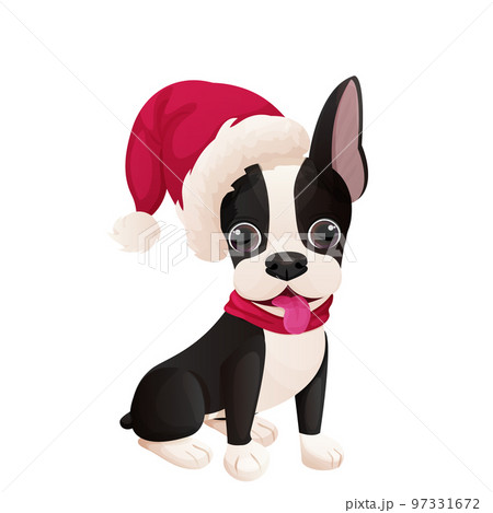 Cute Boston terrier sweet puppy with Christmas hat sitting in cartoon style isolated on white background. Cute dog, print design 97331672