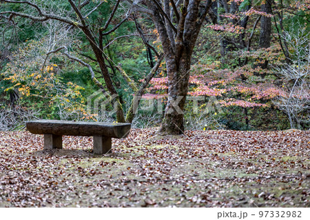 茨城県日立市 小木津山自然公園内のベンチ 茨城県日立市 小木津山自然公園内のベンチ 97332982