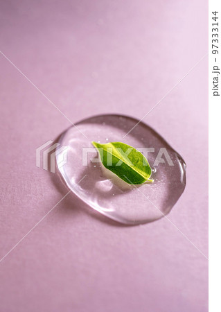 A drop of transparent cosmetic gel on a pink background A drop of transparent cosmetic gel on a pink background 97333144
