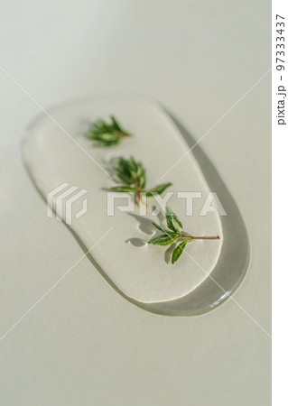A drop of cosmetic gel with thyme on a green background. 97333437