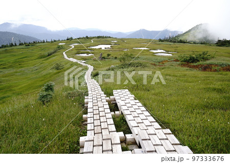 小赤沢登山口から登る苗場山　坪場の湿原から山頂方面に進み振り返る　2022年8月29日 97333676