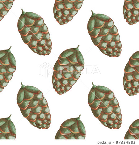 Hand Drawn Seamless Pattern with Green Christmas Cone. Happy new year. Digital paper with Green Pine Cone. 97334883