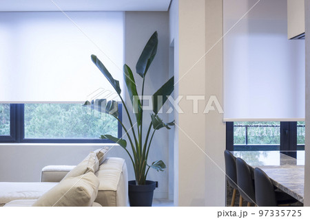 Roller blinds in the interior. Roller shades white color on the windows in the living room. A houseplant and a sofa are in the room. Motorized curtains in the smart home.  97335725