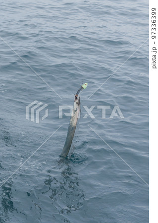 タチウオテンヤ釣り タチウオテンヤ釣り 97336399