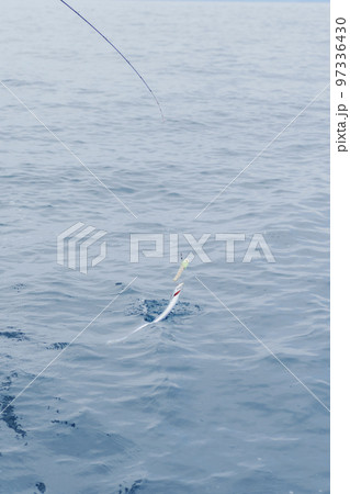 タチウオテンヤ釣り 97336430