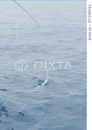 タチウオテンヤ釣り タチウオテンヤ釣り 97336431