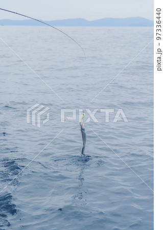タチウオテンヤ釣り タチウオテンヤ釣り 97336440