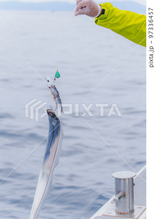 タチウオテンヤ釣り タチウオテンヤ釣り 97336457