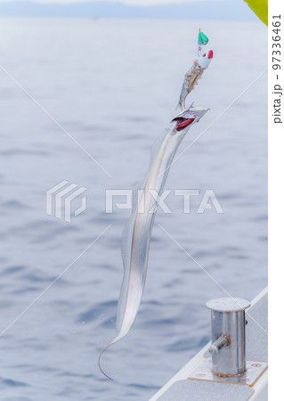 タチウオテンヤ釣り 97336461