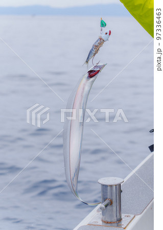 タチウオテンヤ釣り タチウオテンヤ釣り 97336463