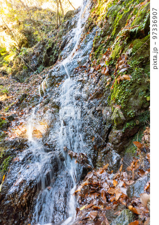 武甲山山道 武甲山山道 97336907