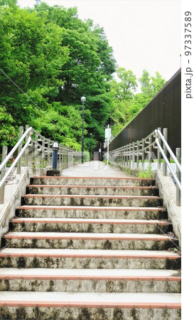 階段のある閑静な遊歩道 97337589