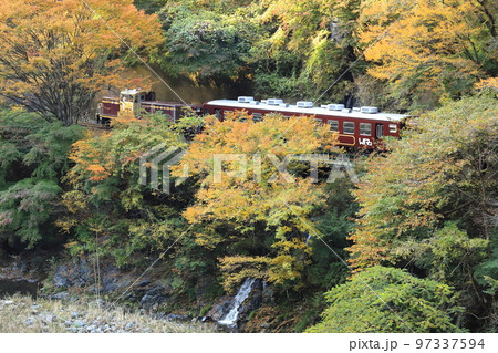 山奥の自然と黄葉の中を行く「トロッコわたらせ渓谷号」 山奥の自然と黄葉の中を行く「トロッコわたらせ渓谷号」 97337594