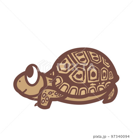 ヒョウモンガメ 97340094