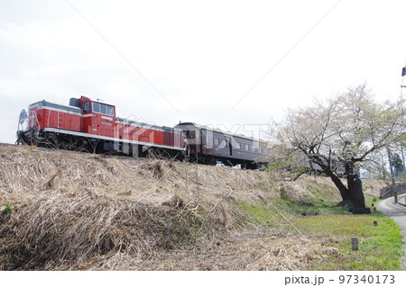 左沢線 左沢駅を発車する左沢線全通100周年記念号と桜 97340173