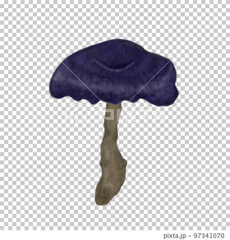 Mushroom Shiitake Mushroom Shiitake 97341070