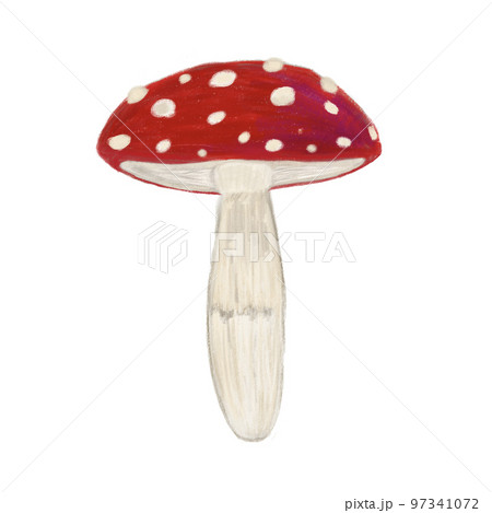 食べ物 食物 フード 97341072