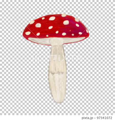 蘑菇 香菇 97341072