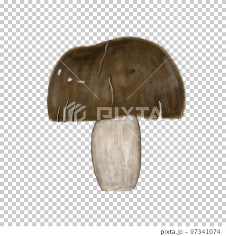 蘑菇 香菇 97341074