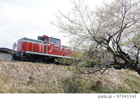 左沢線 左沢駅を発車する左沢線全通100周年記念号と桜 97341543
