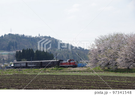 左沢線羽前高松駅 桜満開の駅に到着する左沢線全通100周年記念号 左沢線羽前高松駅 桜満開の駅に到着する左沢線全通100周年記念号 97341548