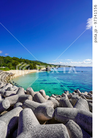 沖縄本島 崎本部ゴリラチョップ 沖縄本島 崎本部ゴリラチョップ 97341556